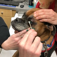 Photo taken at Paces Ferry Vet Clinic by Dianne D. on 1/3/2018