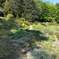 Photo taken at Botanischer Garten by Andree on 5/9/2020