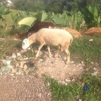 Review komplek perum baros kencana