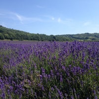 Photo taken at Kentish Lavender Park by Anca A. on 7/4/2014