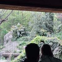 Photo taken at Central Park Zoo by Lizzy P. on 4/21/2024