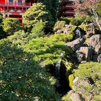 Photo taken at Japanese Tea Garden by Ali on 11/27/2023