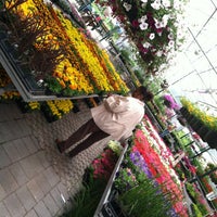 Sixteen Acres Garden Center Flower Shop In Springfield