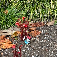 Photo taken at Walt Disney&amp;#39;s Grave by Marcel d. on 4/4/2024