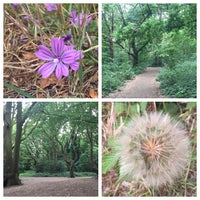 Photo taken at Tooting Bec Common by Sarah O. on 6/9/2020