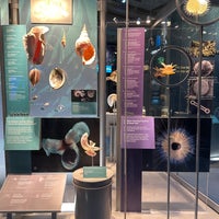 Photo taken at National Museum of Natural History by Starlight P. on 3/8/2024