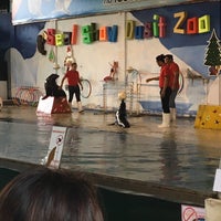 Photo taken at Seals Show by jajaa on 12/28/2017