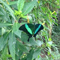 รูปภาพถ่ายที่ Mariposario de Benalmádena - Benalmadena Butterfly Park โดย Hind A. เมื่อ 9/2/2013
