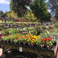 Photo taken at Berkeley Horticultural Nursery by Nicole M. on 7/21/2018