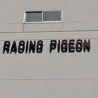 日本鳩レース協会 上野 2 Visitors