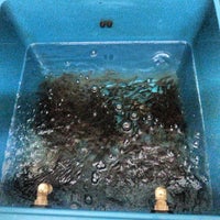 Cabin Bait And Tackle