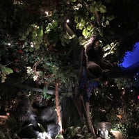 Photo taken at Rainforest Cafe by Yash G. on 7/19/2019