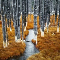 Photo taken at Полюшко-поле~ by Semen K. on 11/16/2016