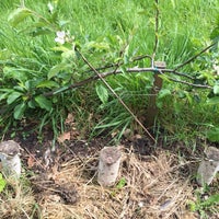 St Mary S Secret Garden Hackney 2 Tips