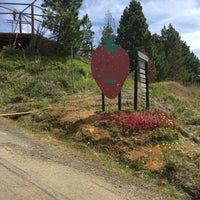 Strawberry Farm Mesilau