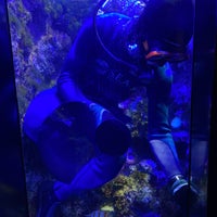 Photo taken at S.E.A. Aquarium by Mary L. on 2/29/2024