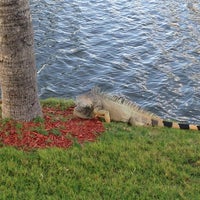 Photo taken at The Ritz-Carlton Golf Club, Grand Cayman by Mike E. on 2/26/2013