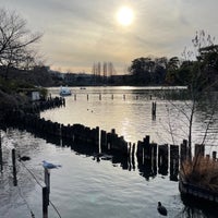 Photo taken at Senzoku Pond by G 通. on 2/24/2024