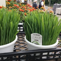 コーナン 川西平野店 259 Ziyaretci