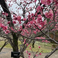 Photo taken at Nagai Botanical Garden by ちゃしろ on 2/3/2024