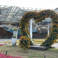 Photo taken at Nagai Botanical Garden by ちゃしろ on 12/4/2023