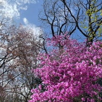 Photo taken at Kobe Municipal Arboretum by ちゃしろ on 4/14/2022