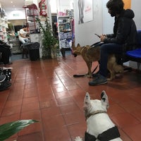 Photo taken at Veterinaria Rojas by Vico V. on 4/6/2018