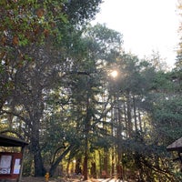 Redwood Grove Nature Preserve Park
