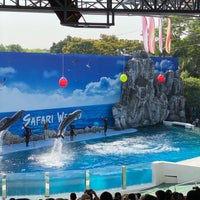 Photo taken at Dolphin Show by Patanapongse B. on 2/26/2021