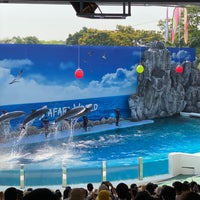 Photo taken at Dolphin Show by Patanapongse B. on 2/26/2021