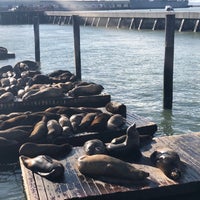 2/3/2019 tarihinde Jung Eun N.ziyaretçi tarafından Pier 39'de çekilen fotoğraf
