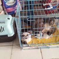 Photo taken at Tom&amp;amp;Jerry Petshop&amp;amp;Clinic by Tyas on 8/7/2013