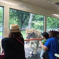 Photo taken at Lion Bus by Kumiko K. on 6/11/2015