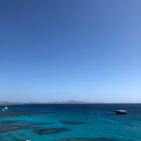 崎本部緑地公園 本部町 沖縄県