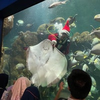 Photo taken at SeaWorld Indonesia by Yunita A. on 12/30/2023