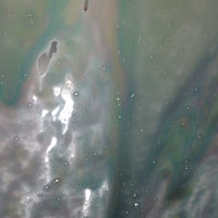 Review Shammy's Auto Wash