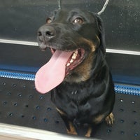 Four Paws Pantry Spa Pet Service In Olathe