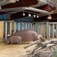 Photo taken at Cheyenne Mountain Zoo by Jennifer H. on 7/8/2022