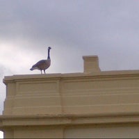 Photo taken at City Of St Louis Water Dept by Stanley S. on 5/22/2013