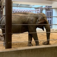 Photo taken at Elephant Trails Exhibit by Alexey on 6/16/2019