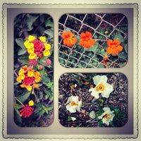 Photo taken at Silver Lake Reservoir by Milvia R. on 4/25/2013