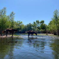Foto tirada no(a) Saguaro Lake Guest Ranch por Amirah em 4/26/2021