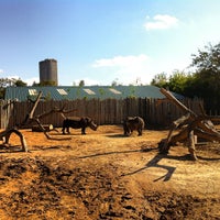 Photo taken at White Rhinoceros Exhibit @ Houston Zoo by Dave B. on 11/4/2012
