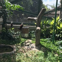 Photo taken at Taman Burung by Mazin A. on 1/4/2018