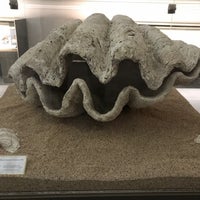 Foto scattata a Museum Geologi da Mazin A. il 7/25/2017