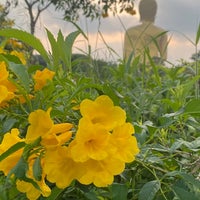 Photo taken at Wat Muang by Pahn💛 . on 9/3/2022