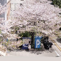 Photo taken at Odaiba by Pahn💛 . on 4/15/2024