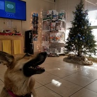Photo taken at Dr. Domotor&amp;#39;s Animal House Veterinary Hospital by Chris A. on 12/14/2017
