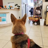 Photo taken at Dr. Domotor&amp;#39;s Animal House Veterinary Hospital by Chris A. on 11/10/2018