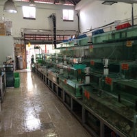 强记海鲜批发商